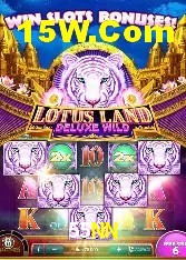 Apostas de Tênis 55NN