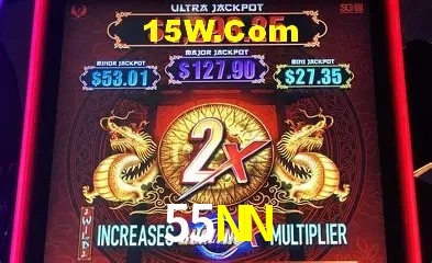 Sistemas de Segurança 55NN