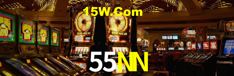 Premium Interface 55NN